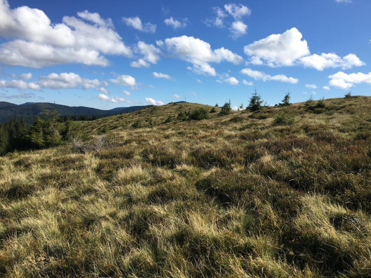Барви Карпат Vorokhta Eksteriør bilde